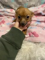 processed/ef4aa099-2489-4ff3-b599-4d66979bebe4/listing/8d1f70ff-3f35-482a-a54b-1b63fc8dd85a/397de1fa-5733-4b64-a1b9-d30b602e23ce