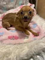 processed/ef4aa099-2489-4ff3-b599-4d66979bebe4/listing/8d1f70ff-3f35-482a-a54b-1b63fc8dd85a/a9411cf5-e751-4652-9bbf-a7904319e911