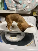 processed/ef4aa099-2489-4ff3-b599-4d66979bebe4/listing/8d1f70ff-3f35-482a-a54b-1b63fc8dd85a/e6cc9baa-c5d8-4c22-9eae-ff8dabca2bcb