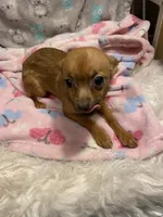 processed/ef4aa099-2489-4ff3-b599-4d66979bebe4/listing/8d1f70ff-3f35-482a-a54b-1b63fc8dd85a/fa4c7175-0395-4e79-a256-b2131004af86