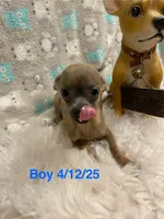 processed/ef4aa099-2489-4ff3-b599-4d66979bebe4/listing/c5d0d7e7-ec94-4c18-8979-7d7d4f990fe4/3ce2f7ed-1f09-4bb5-8e2d-def789d9b5c7