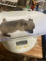 processed/ef4aa099-2489-4ff3-b599-4d66979bebe4/listing/c5d0d7e7-ec94-4c18-8979-7d7d4f990fe4/773edd12-3382-4d08-9596-5dfcae275429