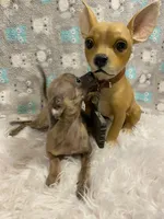 processed/ef4aa099-2489-4ff3-b599-4d66979bebe4/listing/c5d0d7e7-ec94-4c18-8979-7d7d4f990fe4/838fcd02-6672-4fcd-8675-fa342d1da87d