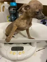 processed/ef4aa099-2489-4ff3-b599-4d66979bebe4/listing/c5d0d7e7-ec94-4c18-8979-7d7d4f990fe4/da8d6563-010b-4594-bf20-82fda28ec5c2