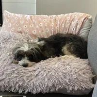 processed/ef4dc030-096e-40ea-849f-5aa960e25ff6/facility/45f20ccc-9f67-43f1-ae47-f82e0dce3630