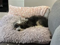 processed/ef4dc030-096e-40ea-849f-5aa960e25ff6/facility/45f20ccc-9f67-43f1-ae47-f82e0dce3630