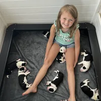 processed/ef4dc030-096e-40ea-849f-5aa960e25ff6/facility/4f9f5359-b625-4b5c-967a-a89dc87fdbbf