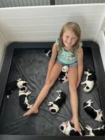 processed/ef4dc030-096e-40ea-849f-5aa960e25ff6/facility/4f9f5359-b625-4b5c-967a-a89dc87fdbbf