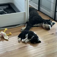 processed/ef4dc030-096e-40ea-849f-5aa960e25ff6/facility/5c447b90-fc3d-4636-9c18-712cc2980688