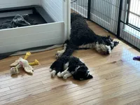 processed/ef4dc030-096e-40ea-849f-5aa960e25ff6/facility/5c447b90-fc3d-4636-9c18-712cc2980688