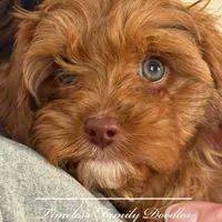 processed/ef4dc030-096e-40ea-849f-5aa960e25ff6/facility/62250a58-a90b-4bda-9fa3-eb918d984e8e