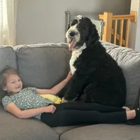 processed/ef4dc030-096e-40ea-849f-5aa960e25ff6/facility/7d18303a-6cdf-4e87-9d13-fc353cea1221