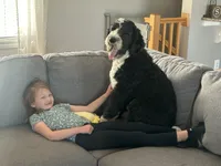 processed/ef4dc030-096e-40ea-849f-5aa960e25ff6/facility/7d18303a-6cdf-4e87-9d13-fc353cea1221