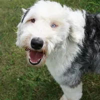 processed/ef4dc030-096e-40ea-849f-5aa960e25ff6/facility/83c956ae-c973-4901-b379-419fc3aef95e