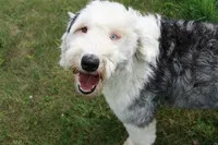 processed/ef4dc030-096e-40ea-849f-5aa960e25ff6/facility/83c956ae-c973-4901-b379-419fc3aef95e