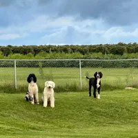 processed/ef4dc030-096e-40ea-849f-5aa960e25ff6/facility/b8034d3c-1ba3-4290-9936-a80e3aeb00b8