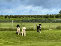 processed/ef4dc030-096e-40ea-849f-5aa960e25ff6/facility/b8034d3c-1ba3-4290-9936-a80e3aeb00b8