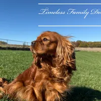 processed/ef4dc030-096e-40ea-849f-5aa960e25ff6/facility/e05eb7a5-e5bf-41df-a9d8-8d6bf6b66564