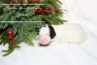 processed/ef4dc030-096e-40ea-849f-5aa960e25ff6/listing/1a103431-131e-49a9-8dee-f0277e60ff2a/63942958-d185-43b9-9c44-9727c28c7706