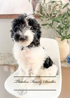 processed/ef4dc030-096e-40ea-849f-5aa960e25ff6/listing/2bc1eada-de50-446c-9d18-dd5094be3abd/6558cca1-795d-4630-83d6-ab6513f9ec70