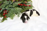 processed/ef4dc030-096e-40ea-849f-5aa960e25ff6/listing/2bc1eada-de50-446c-9d18-dd5094be3abd/ebd3b59d-ba24-45b4-8e80-3d67d601335d