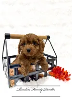 processed/ef4dc030-096e-40ea-849f-5aa960e25ff6/listing/318657b7-791b-4258-a1c7-4a30437d40d9/2629e094-2352-4cde-be87-cf7beb27d6a2