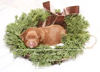 processed/ef4dc030-096e-40ea-849f-5aa960e25ff6/listing/318657b7-791b-4258-a1c7-4a30437d40d9/daca9629-2934-4440-9e87-696b4aede44b