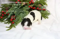 processed/ef4dc030-096e-40ea-849f-5aa960e25ff6/listing/31e47179-4973-4d0b-ae49-8d6e8dde8ea0/b6ff5e8d-b6d8-4663-b322-35ce91ae4304