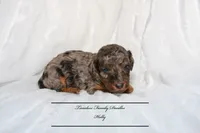 processed/ef4dc030-096e-40ea-849f-5aa960e25ff6/listing/a425747e-20f5-46ea-b645-1a8b33048e8a/e61ba9ab-2c5c-4f3a-a4a1-a9b17d73f8a3