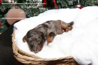 processed/ef4dc030-096e-40ea-849f-5aa960e25ff6/listing/a425747e-20f5-46ea-b645-1a8b33048e8a/ed35386a-20ce-4ea1-9e5d-210bfd99f6dc