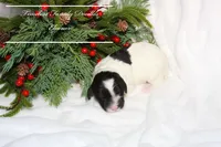 processed/ef4dc030-096e-40ea-849f-5aa960e25ff6/listing/ab629d28-7959-4869-bfe1-2169e465f019/18ddf686-3c0c-4041-af27-114cf278de90