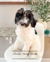 processed/ef4dc030-096e-40ea-849f-5aa960e25ff6/listing/ab629d28-7959-4869-bfe1-2169e465f019/27dc0c81-9e0c-4336-9421-fa11f636e884