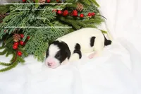 processed/ef4dc030-096e-40ea-849f-5aa960e25ff6/listing/e25839ea-32f5-4e97-9510-904f4f633a89/8ba70fc4-bc7a-4504-a368-7ce826675c43