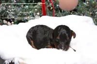 processed/ef4dc030-096e-40ea-849f-5aa960e25ff6/listing/f14e3425-2471-4502-89ba-1fb29dabb3dc/5c462c4d-a9ba-40d3-9ad5-f9aa3cc58388