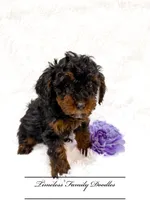 processed/ef4dc030-096e-40ea-849f-5aa960e25ff6/listing/f14e3425-2471-4502-89ba-1fb29dabb3dc/8b42e7fb-33ec-46a1-b528-07a5b3979c1e