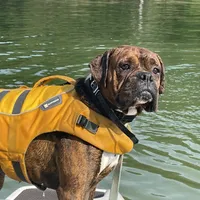 processed/ef51c005-ef79-477a-a4ce-f2abbbd5414b/facility/15d56a3b-58a1-44a3-b716-84d2b60239e9