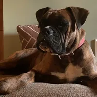 processed/ef51c005-ef79-477a-a4ce-f2abbbd5414b/facility/218dde2e-9ce7-4850-94da-73d2446bd678