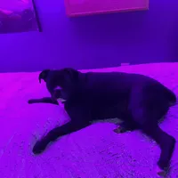 processed/ef51c005-ef79-477a-a4ce-f2abbbd5414b/facility/3317f193-d26c-4882-9176-b7d1813620b7