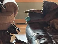 processed/ef51c005-ef79-477a-a4ce-f2abbbd5414b/facility/375e2dba-ce93-4114-ac7f-11b981c60463