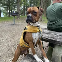 processed/ef51c005-ef79-477a-a4ce-f2abbbd5414b/facility/4e935cca-6b1f-4684-878e-d2a2893fa3dc