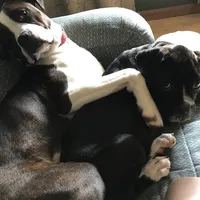 processed/ef51c005-ef79-477a-a4ce-f2abbbd5414b/facility/530439c1-cc7a-4621-af57-89ffc04fd975