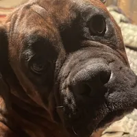 processed/ef51c005-ef79-477a-a4ce-f2abbbd5414b/facility/c02af384-a23f-4c4d-97c2-6e87b29e67da