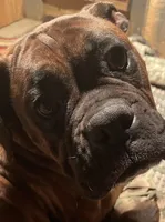 processed/ef51c005-ef79-477a-a4ce-f2abbbd5414b/facility/c02af384-a23f-4c4d-97c2-6e87b29e67da