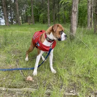 processed/ef51c005-ef79-477a-a4ce-f2abbbd5414b/facility/f23e603e-2e27-4d5e-92f7-2fe4e0d2017c