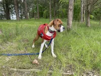 processed/ef51c005-ef79-477a-a4ce-f2abbbd5414b/facility/f23e603e-2e27-4d5e-92f7-2fe4e0d2017c