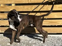 processed/ef51c005-ef79-477a-a4ce-f2abbbd5414b/listing/5518f8d9-7455-4335-99e6-1297618d0a9d/0883fde6-1056-4a72-9fa4-d9c843ecd365