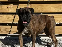 processed/ef51c005-ef79-477a-a4ce-f2abbbd5414b/listing/5518f8d9-7455-4335-99e6-1297618d0a9d/195e24c8-fd76-4ee6-8311-3921861d9c8a