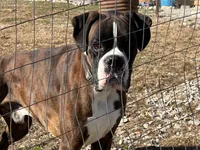 processed/ef51c005-ef79-477a-a4ce-f2abbbd5414b/listing/6a030dcc-526a-490d-9b2c-de9c07e4fdc8/69fd1024-17ab-4606-b100-b54f674d52c1