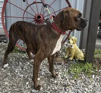 processed/ef51c005-ef79-477a-a4ce-f2abbbd5414b/listing/6a030dcc-526a-490d-9b2c-de9c07e4fdc8/fca057e4-0e2d-4099-bda7-13b17d3dc75a