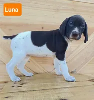 processed/ef64259f-3e90-4aad-ac44-b3d1ceaa16bd/listing/4a093b22-9f81-4207-aae2-afe5e4107526/3758aa85-178d-45f0-823b-fa3ae2d451c8